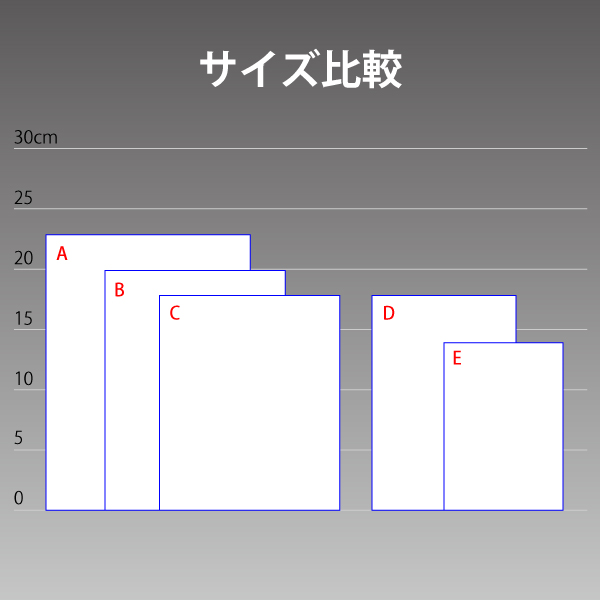 サイズ比較
