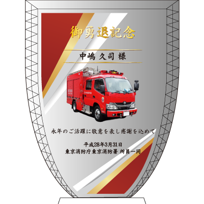TS009