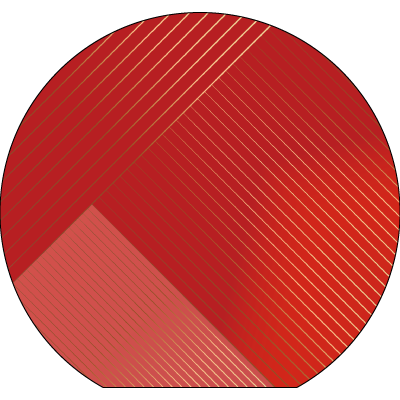TS008