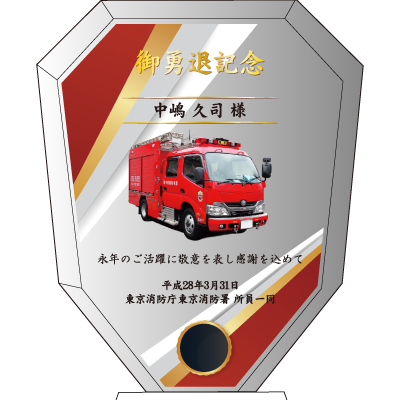 TS009