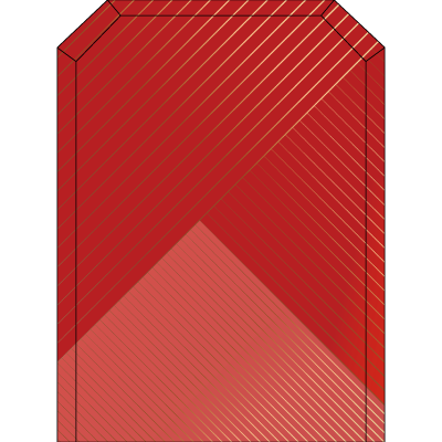 TS008