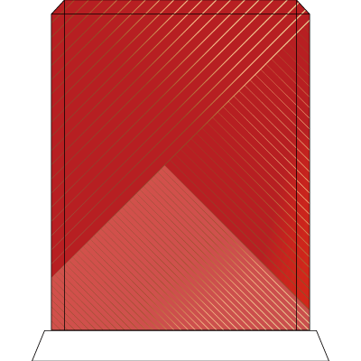TS008