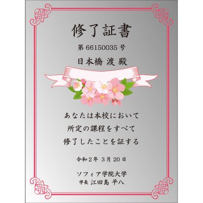 TS001